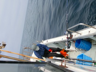 第二清洋丸 釣果