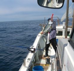 第二清洋丸 釣果