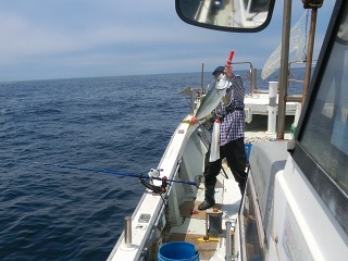 第二清洋丸 釣果