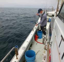 第二清洋丸 釣果