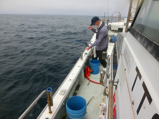 第二清洋丸 釣果