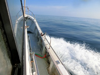 第二清洋丸 釣果