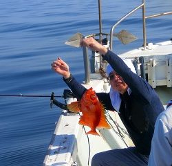 第二清洋丸 釣果