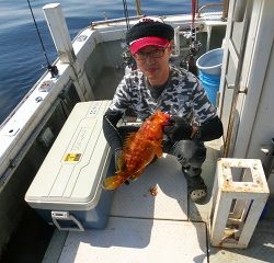 第二清洋丸 釣果