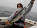 釣船　キティ 釣果