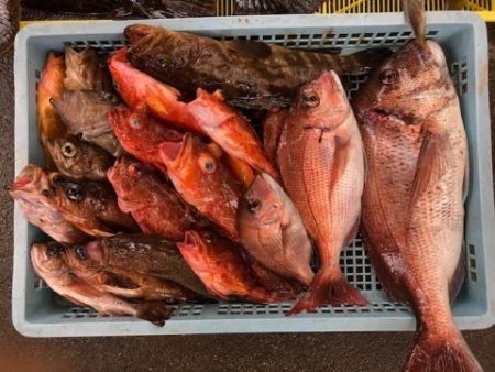 Sea Frend 片山丸 釣果