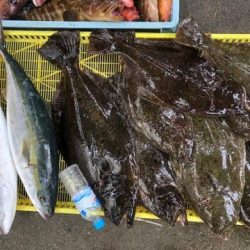 Sea Frend 片山丸 釣果