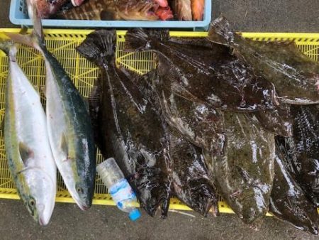 Sea Frend 片山丸 釣果