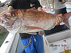 遊漁船 未紗奈 釣果