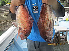 遊漁船 未紗奈 釣果