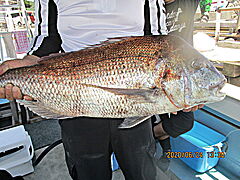 遊漁船 未紗奈 釣果