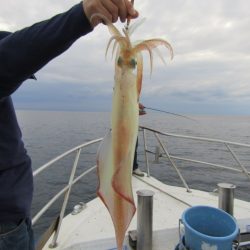 ジギング船 BLUEWATER 釣果