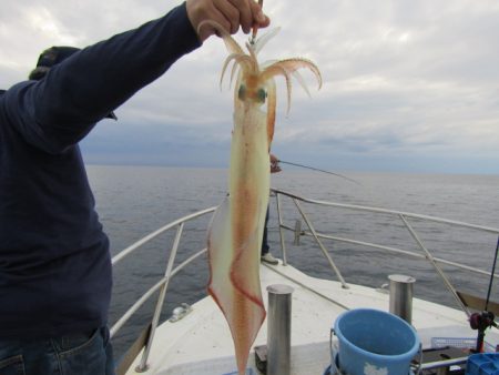 ジギング船 BLUEWATER 釣果