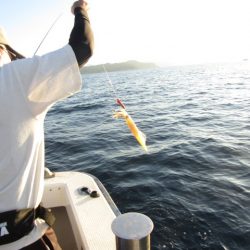 ジギング船 BLUEWATER 釣果