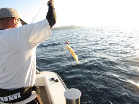 ジギング船 BLUEWATER 釣果