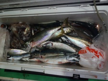 第二むつ漁丸 釣果