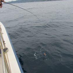 ジギング船 BLUEWATER 釣果