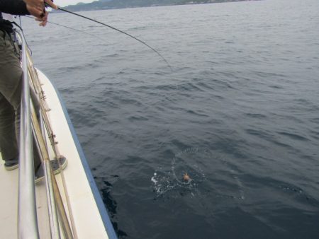 ジギング船 BLUEWATER 釣果