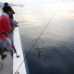 ジギング船 BLUEWATER 釣果