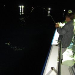 ジギング船 BLUEWATER 釣果