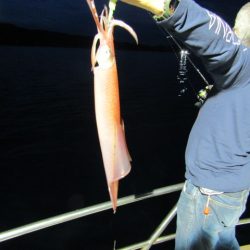 ジギング船 BLUEWATER 釣果