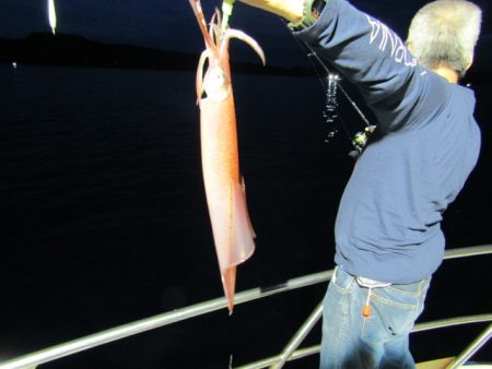 ジギング船 BLUEWATER 釣果