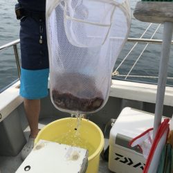 たかみ丸 釣果