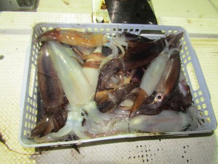 ジギング船 BLUEWATER 釣果