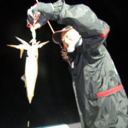 ジギング船 BLUEWATER 釣果