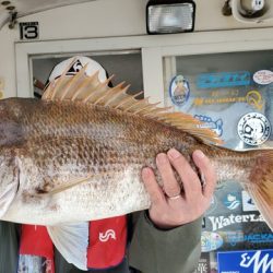 遊漁船 ニライカナイ 釣果