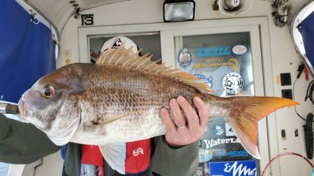 遊漁船 ニライカナイ 釣果