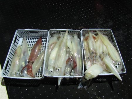 ジギング船 BLUEWATER 釣果