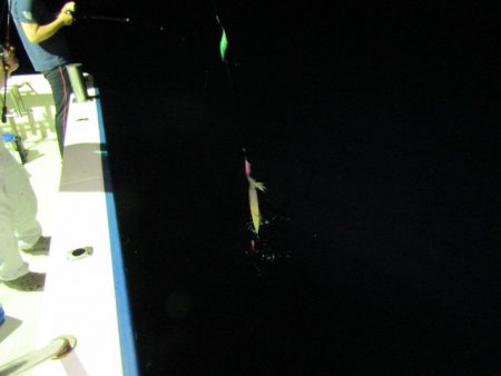 ジギング船 BLUEWATER 釣果