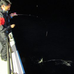 ジギング船 BLUEWATER 釣果