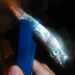 浜名湖 アジング