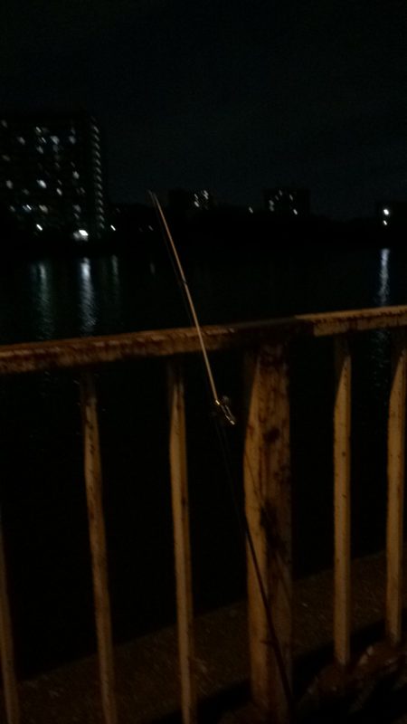 淀川のウナギ釣りパート10