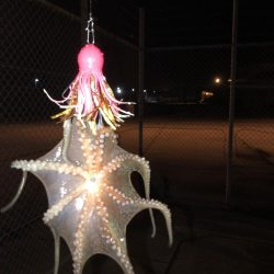 5ゲット2キープ3逃走！タコまつり開催中