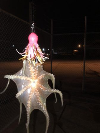 5ゲット2キープ3逃走！タコまつり開催中