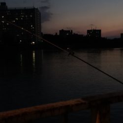 ウナギ釣りパート13