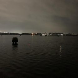 雨上がりのウキ釣り