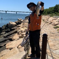 またしてもデイシーバス！