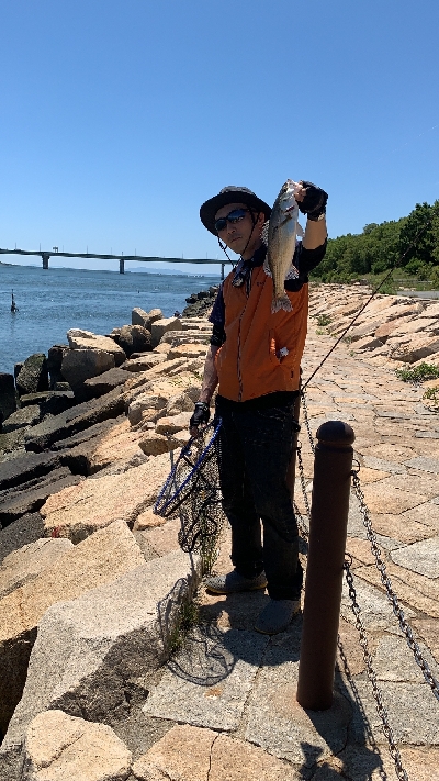 またしてもデイシーバス！