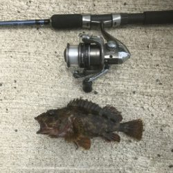 久しぶりに。。