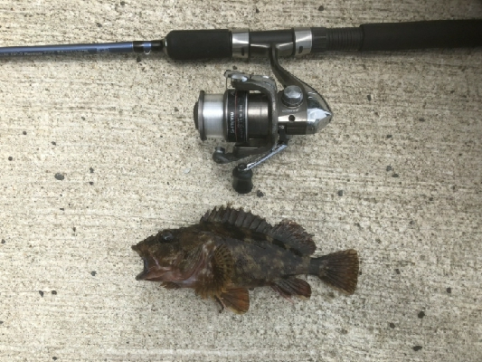 久しぶりに。。