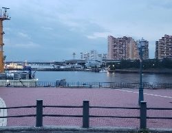 アジ探し~などなど