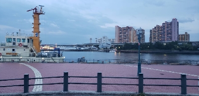 アジ探し~などなど