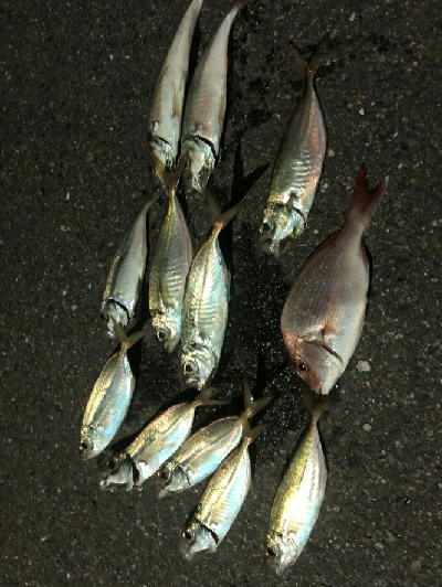 チビ達満足～-w