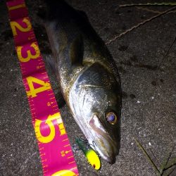 アングラー多すぎたおかげで