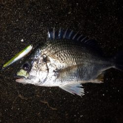 雨がやんだ隙に