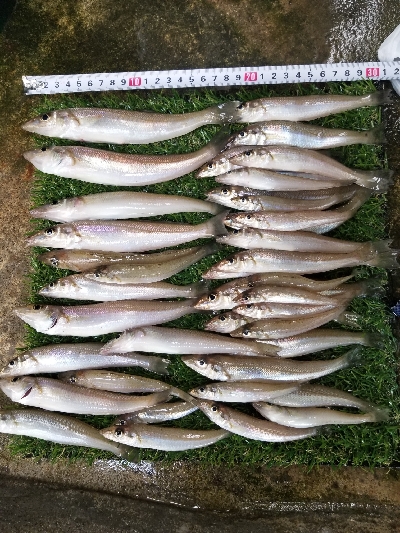 今日は、遅めの出発です。